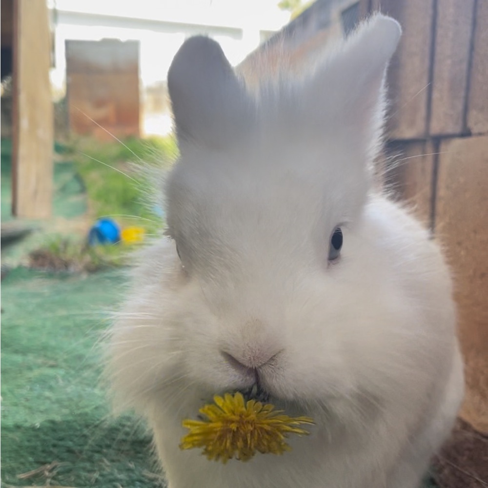 Meet your Posher, Sherilyn